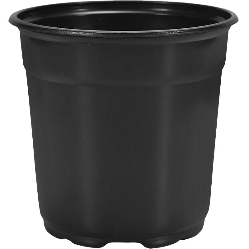 17 cm Euro Pot Coex 17cm Tall CoEx Euro Pot Black - 294 per case