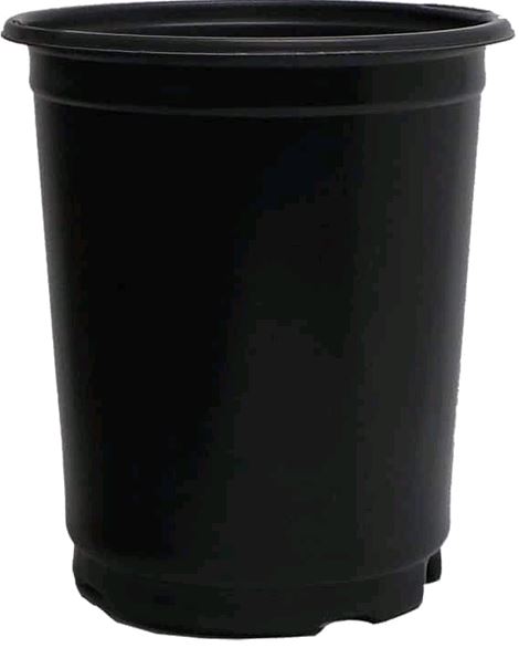 1.00 Quart Perennial Pot Co-ex With TagSlot - 432 per case