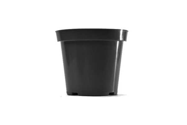 3 Inch Standard Round Pot Black Belden - 1000 per case