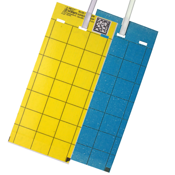 Trapline M Blue Card  25 x 10 cm - 10 traps