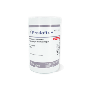 Predafix Plus (Thyreophagus entomophagus) 0.2kg – Tube