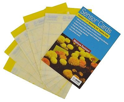 Yellow Sensor Monitor Card - 50 per package