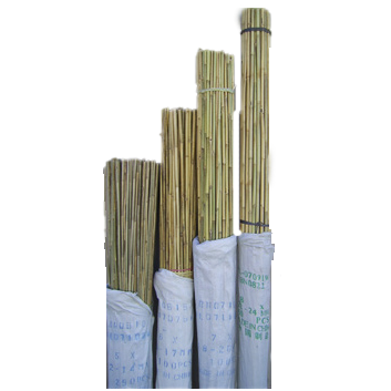 Bamboo Stake Natural 2' x 5/16" 6-8 mm - 1000 per bale