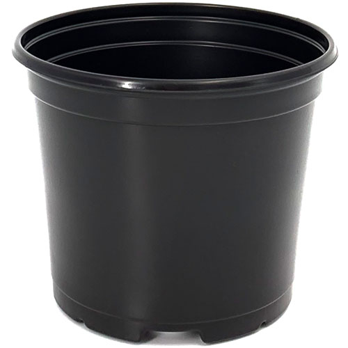 Round Pot Black 6 Inch - 660 per case